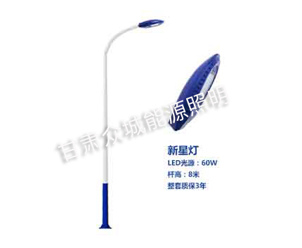 临泽爆款市电路灯